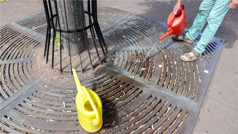 Der gestresste Stadtbaum - Was ihm helfen kann Baumpatenschaften helfen durstigen Stadtbäumen.